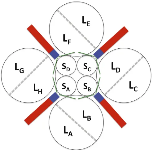 Fig. S2.The RubisCO hexadecamer interfaces. Pairs of large subunits form dimers with an extensive interface; four of these dimers form an octomeric ring.are shown by dashed gray lines, LL2 (LThe interdimer interfaces are comparatively small, and the overal