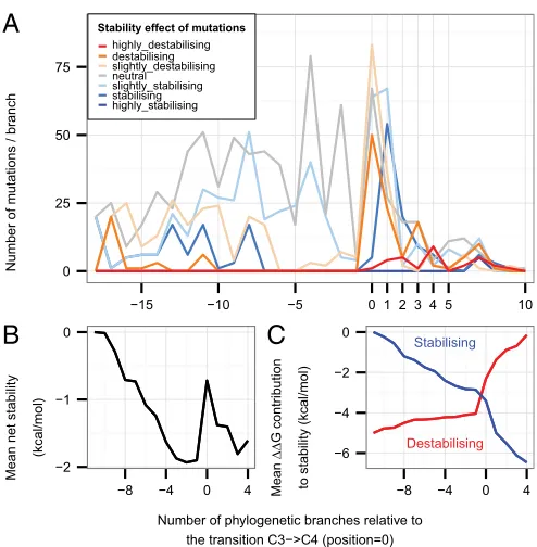 Fig. 4.Stability effect and location of ancestral mutations. The 751 mutations occurring during evolution are separated inpositive selection (contact a large subunit of another dimer (e.g., Lare separated into their branch type and binned into their contac