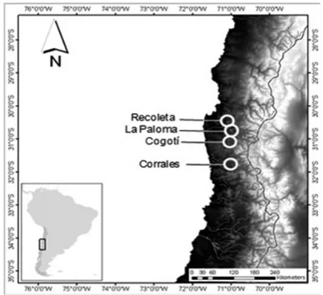 Figure 1. Location of sampling sites in the Mediterranean Rivers of Chile.