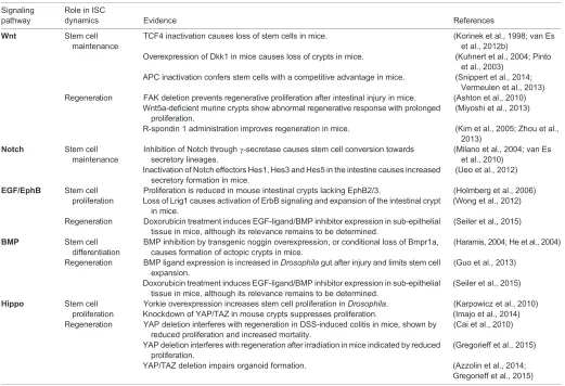 Table 1. Summary of signaling pathways involved in dynamic control of ISC activity