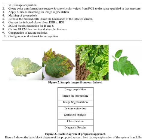 Figure 2. Sample images from our dataset.  