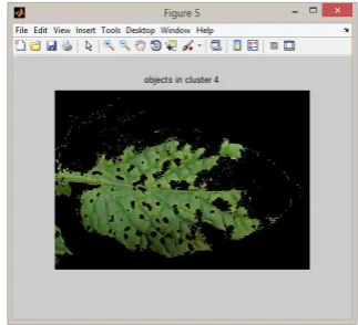 Figure 7. Objects in cluster 3 (infected)                Figure 8. Objects in cluster 4 (green area) 