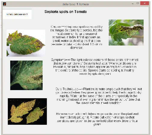 Figure 9. Diagnosis Database for Septoria spot Disease (Tomato)   