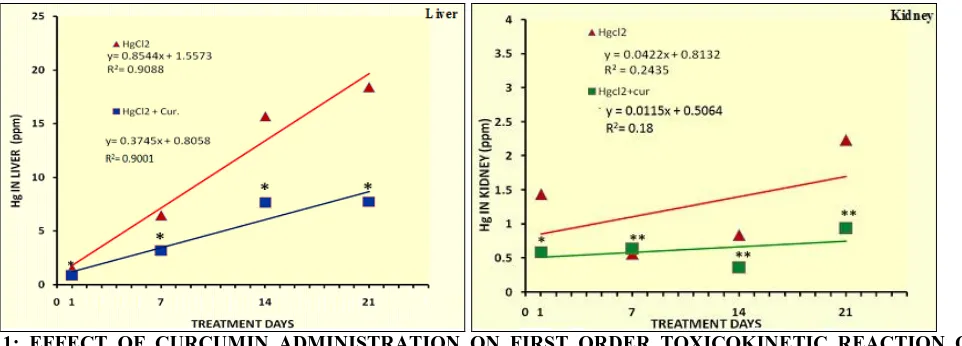 FIG. 1: EFFECT OF CURCUMIN ADMINISTRATION ON FIRST ORDER TOXICOKINETIC REACTION OF MERCURIC CHLORIDE ACCUMULATION AND ELIMINATION A significant decrease in curcumin administered followed by mercuric chloride intoxication vs