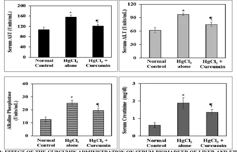 FIG. 2: EFFECT OF THE CURCUMIN ADMINISTRATION ON SERUM BIOMARKER OF LIVER AND KIDNEY FUNCTIONS