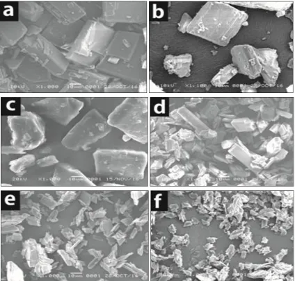 FIG. 3: SEM MICROGRAPH: [a] AG, [b] BCD, [c] PHYSICAL MIXTURE OF AG-BCD, [d] INCLUSION COMPLEX OF AG-BCD (1:1), [e] INCLUSIONS COMPLEX OF AG-BCD (1:2), [f] INCLUSION COMPLEX OF AG-BCD (2:1) 