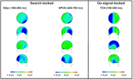 Figure 4. Scalp topography of the laterality effects. Topographies calculated as the mean voltage contralateral minus ipsilateral, for all lateralelectrodes pairs, separately for the three time windows of analysis: the display-locked N2pc (160–260 ms, rela