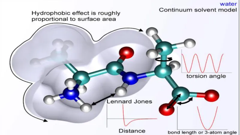 FIG. 3: DIFFERENT FORCES APPLIED TO A MOLECULE WITH CONTINUUM SOLVENT LIKE WATER         http://en.wikipedia.org/wiki/Force_field_%28chemistry%29#mediaviewer/File:MM_PE