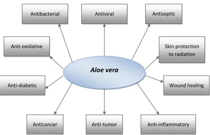 FIG. 3: THERAPEUTIC AND MEDICINAL UTILITIES OF  ALOE VERA