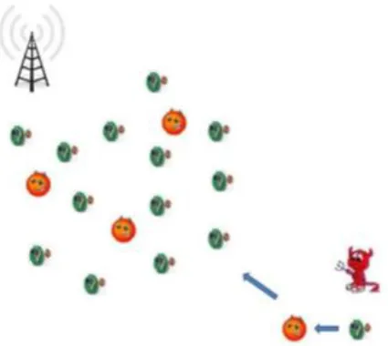 Fig 1: An attacker compromise one node, create clones of it and insert them in the network for further malicious attack