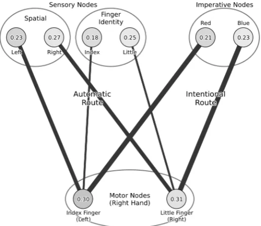 Figure 1: The architecture of the model. Numbers within nodes indicate typical activation levels when the model is awaiting a stimulus