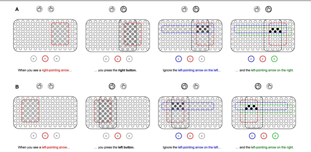 FIGURE 2 | Development of task representations in the ﬂanker task. (A)instruction for incongruent trials