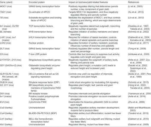 Table 1. Key genes associated with plant architecture in crops