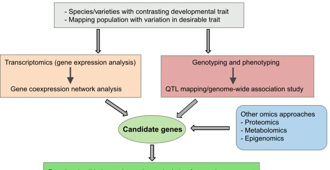 Fig. 5. Functional genomics-based strategies foridentifying and characterizing the genes thatanalyses using RNAseq approaches, in conjunctionwith gene coexpression network analyses can beused to identify the transcriptional basis of a desirabletrait
