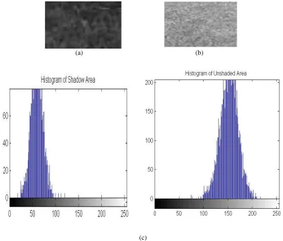Figure 3. (a) Piece of shadowed area; (b) piece of unshaded area; (c) histogram of (a) and (b) respectively