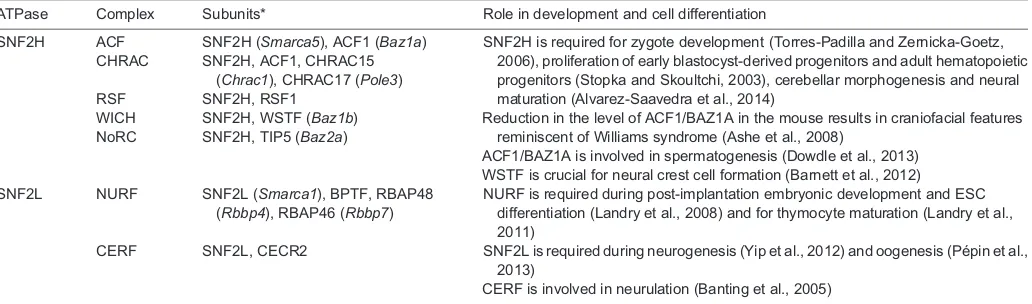 Table 2. Developmental roles of ISWI complexes
