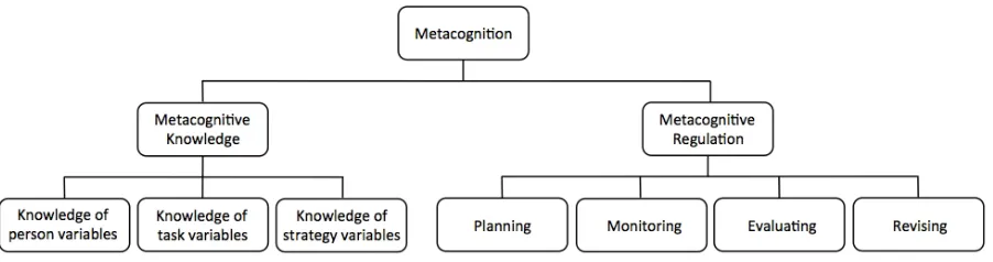 Figure 1. Components of Metacognition 