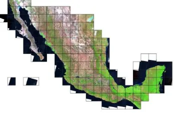 Fig. 2. Landsat scenes and grid for Mexico.  