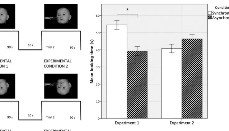 Figure 2. Looking Time Results