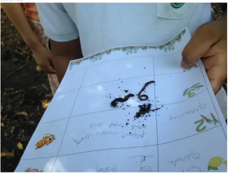 Figure 1: One fourth grader at the Composting and Beneficial Pests workstation examining the behavior of worms used for vermicomposting