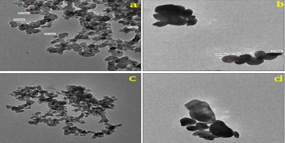 FIG. 7: ANTIMICROBIAL ACTIVITY OF Se DOPED ZnO NANOPARTICLES AGAINST BACTERIA: E. 