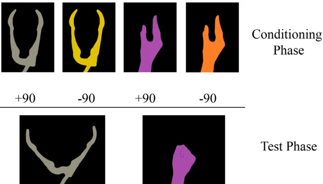 Figure 1.Images of the four different colored hands (neutral positions) that were implicitly conditioned with different reward valuesin the conditioning phase (90% win and 90% loss)