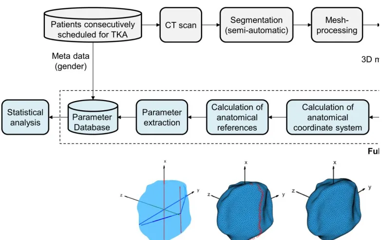 Figure 1: Visualization of the fully automatic workflow for morphological analysis of the patella