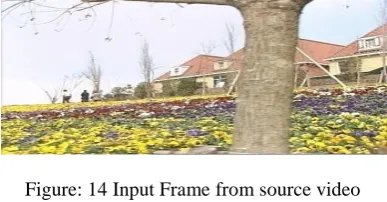 Figure: 14 Input Frame from source video  
