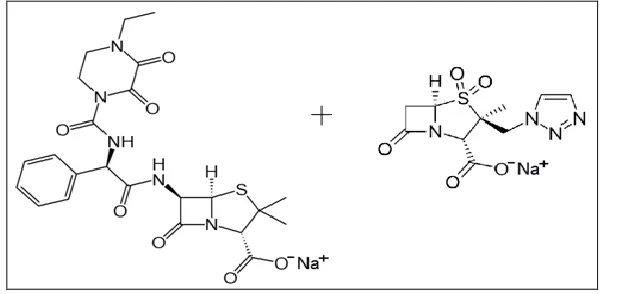 FIG. 1: CHEMICAL FORMULAS OF ZOPERCIN PREPARATION CONTENT  