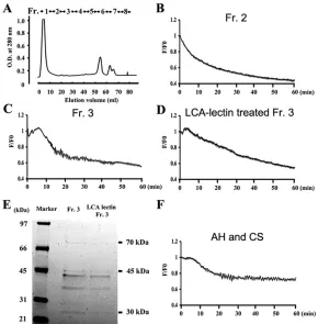 Fig. 1. Changes in [Ca2+images of eggs injected with 50 fmol IPinjected with IP]i in quail eggs3 or SE