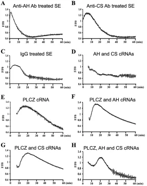 Fig. 3. Changes in [Ca2+]i in quail egg after microinjection ofegg-activating factors
