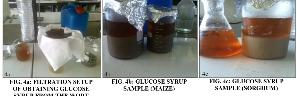 FIG. 4b: GLUCOSE SYRUP  SAMPLE (MAIZE)  