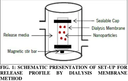 FIG. 1: SCHEMATIC PRESENTATION OF SET-UP FOR  RELEASE PROFILE BY DIALYSIS MEMBRANE 
