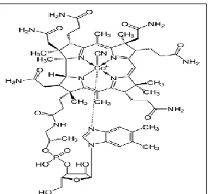 FIG. 1: STRUCTURE OF THE CIANOCOBALAMINE  MOLECULE 