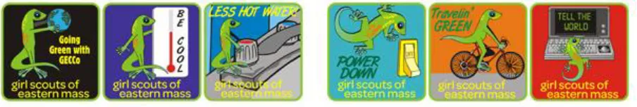 Figure 1. The six patches in the GECCo program.  