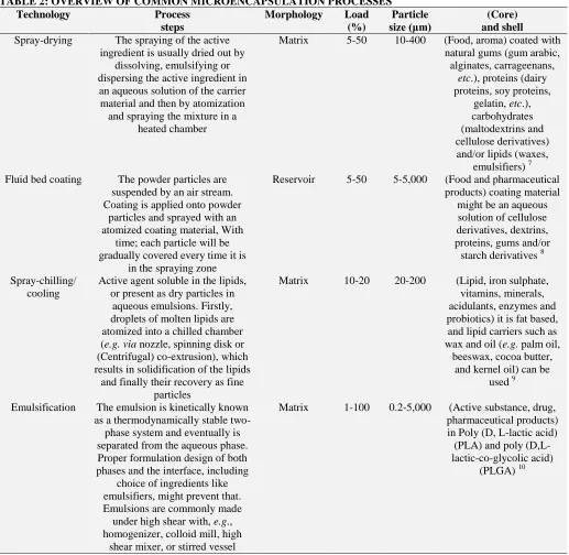 FIG. 1: MORPHOLOGY OF MICROCAPSULES 