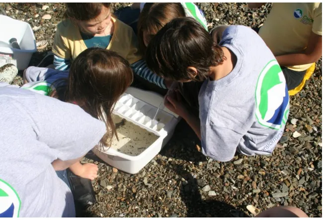 Figure 1 Elementary school students identifying macroinvertebrates. 