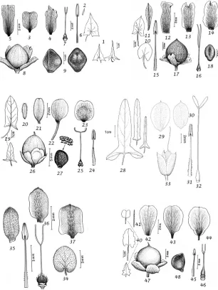 Figure 3. 1–9 C. scammonia 1 leaves 2 bracteole 3 outer sepal 4 middle sepal 5 inner sepal 6 stamen 7 ovary and style 8 capsule 9 seed