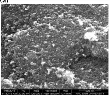 Figure 4 EDXA pattern of TiO 2 samples calcinated at (a) 500° C (b) 600° C (c) 700° C