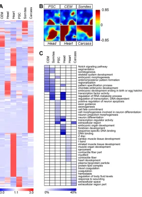 Fig. 2. Differential expression data of protein-coding genesidentifies tissue-specific gene signatures.representation of 1375 differentially expressed protein-codinggenes determined by pair-wise comparison