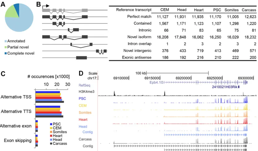 Fig. 3. RNA-seq data reveal extensive alternative transcript usage in mid-gestational embryos