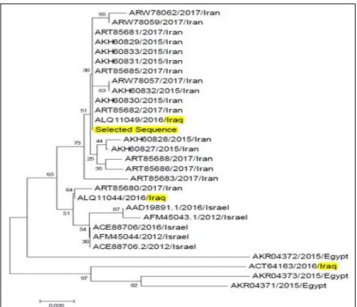 TABLE 1: ANTIGENIC SCORE FOR VARIANT 2 STRAINS OF THE MIDDLE EAST Strain Antigenic score 