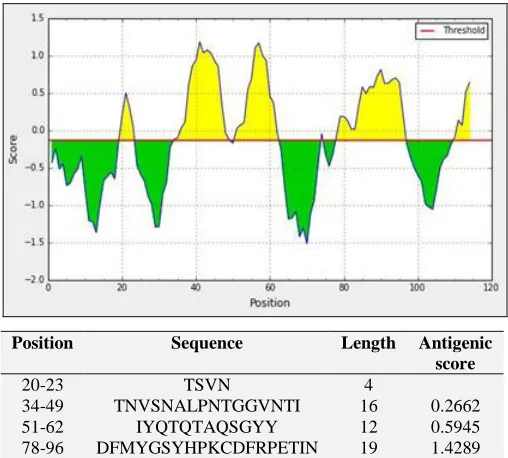 FIG. 6: PREDICTED B CELL EPITOPES IN THE SELECTED PROTEIN 