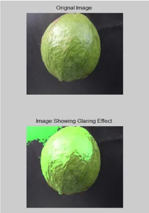 Figure 2 Original Images and Image with Glaring Effect 
