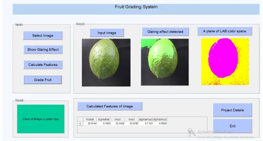 Figure 1. Sample Guava Image used for database  