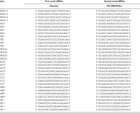 Table S2. siRNA sequences of confirmed hits of the library screening