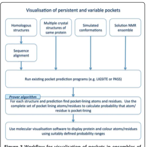 Figure 3 Workflow for visualisation of pockets in ensembles ofstructures using Provar tools.