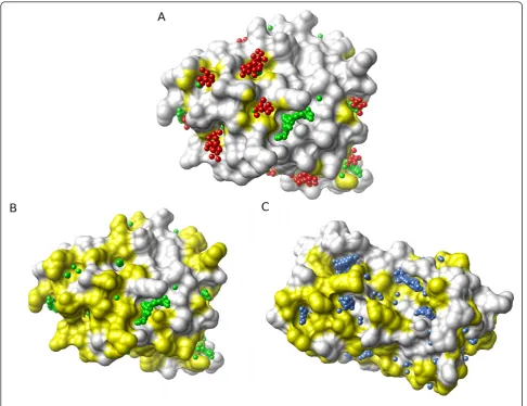 Figure 5 Mapping pocket locations to the protein atoms and residues simplifies comparison between methods and proteinsProteins of identical sequence can be compared at either residue or atomic levels