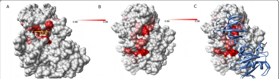 Figure 6 Provar discriminates atoms and residues which persistently or variably contribute to pockets in an ensembleProvar score for a set of 50 conformers of IL-2 generated with tCONCOORD readily distinguishes those atoms persistently involved in pocketfo