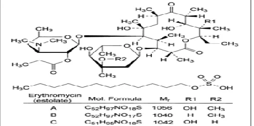 FIG. 1: CHEMICAL STRUCTURE OF ERYTHROMYCINE  ESTOLATE 